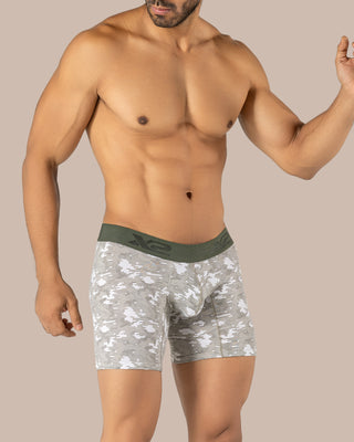 Cotton Medium Boxer Mare