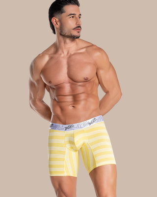 Medium Boxer Torino Cotton Green