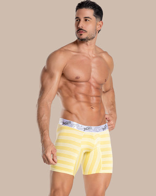 Medium Boxer Torino Cotton Green