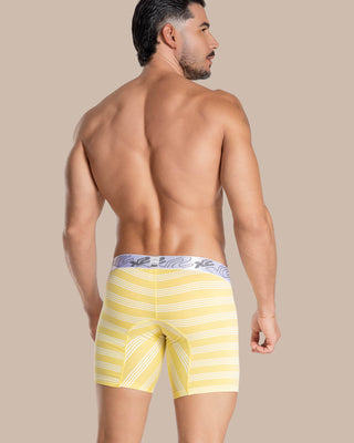 Medium Boxer Torino Cotton Green