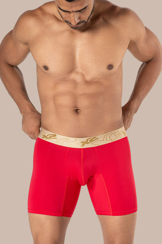 Medium Nylon Boxer Dignity