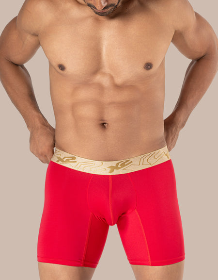 Medium Nylon Boxer Dignity