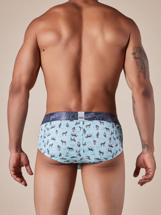 Brief Estampado Demand