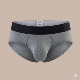Brief Princeps Nylon Gris X2