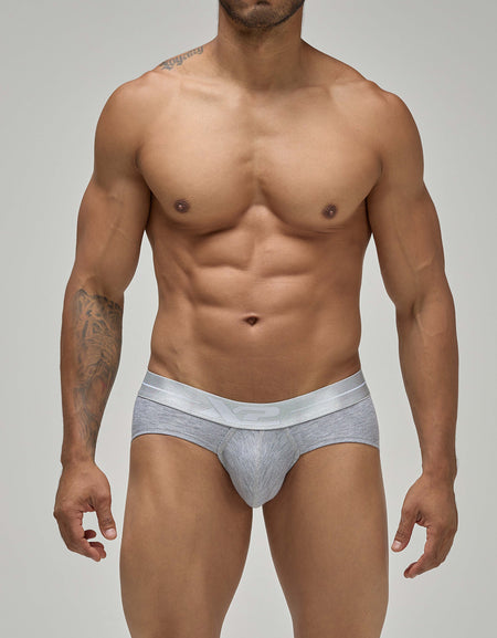 Brief Gray Torino