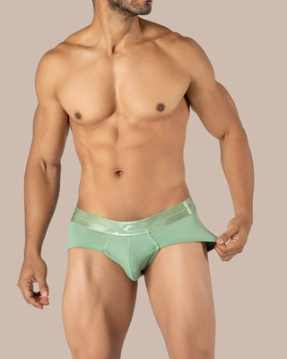 Brief Monumental Verde