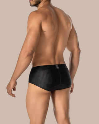 BRIEF HIDRA