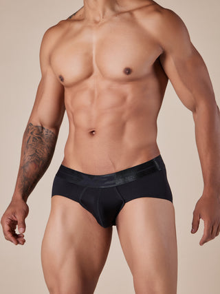 Brief Monumental Negro