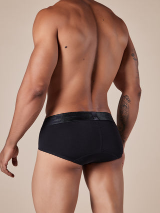 Brief Monumental Negro